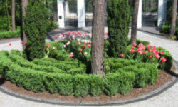 растениеводство polagro каталог польских
 фирм