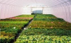 растениеводство polagro каталог польских
 фирм