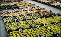 растениеводство polagro каталог польских
 фирм