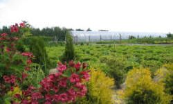 растениеводство polagro каталог польских
 фирм