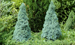 растениеводство polagro каталог польских
 фирм