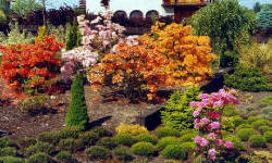 растениеводство polagro каталог польских
 фирм