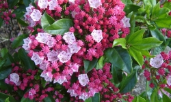 растениеводство polagro каталог польских фирм