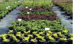 растениеводство polagro каталог польских
 фирм