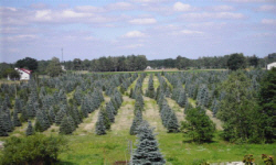 растениеводство polagro каталог польских
 фирм