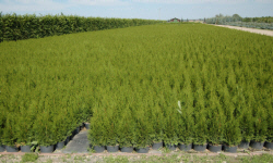 растениеводство polagro каталог польских
 фирм