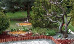 растениеводство polagro каталог польских фирм