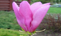 растениеводство polagro каталог польских
 фирм